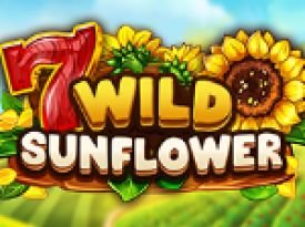 Wild Sunflower