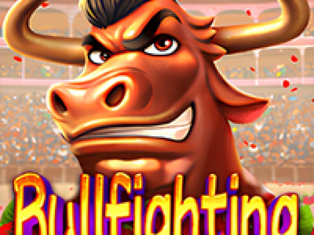Bullfighting