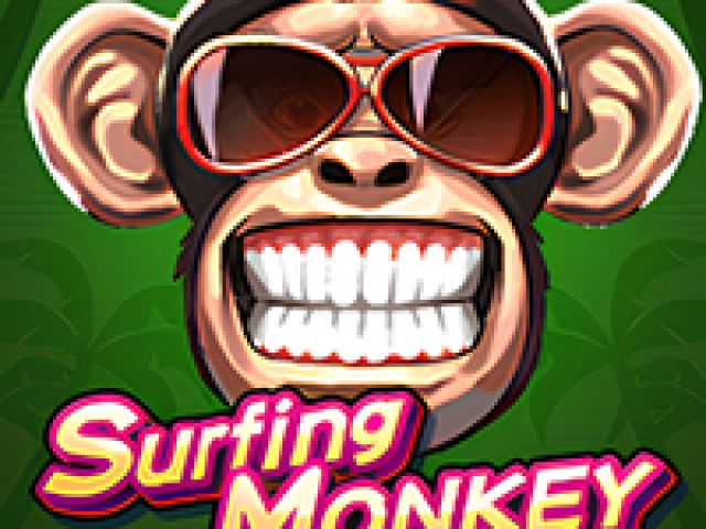 Surfing Monkey