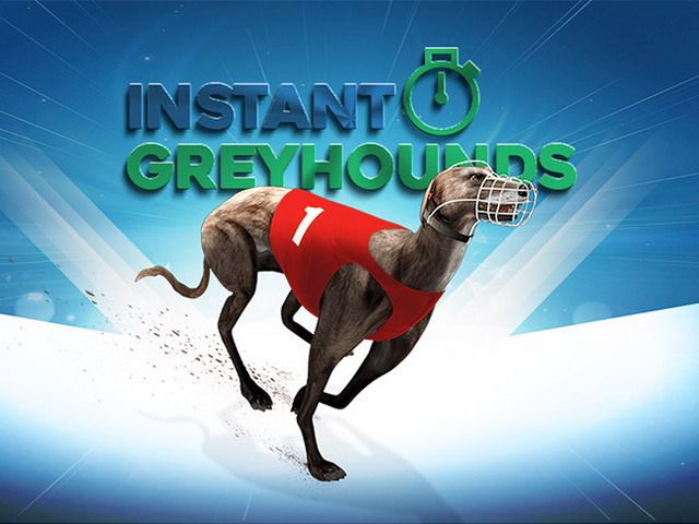 Instant Greyhounds