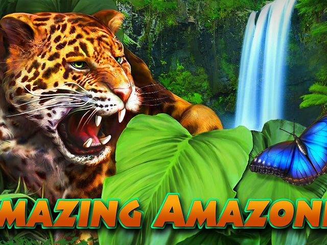 Amazing Amazonia