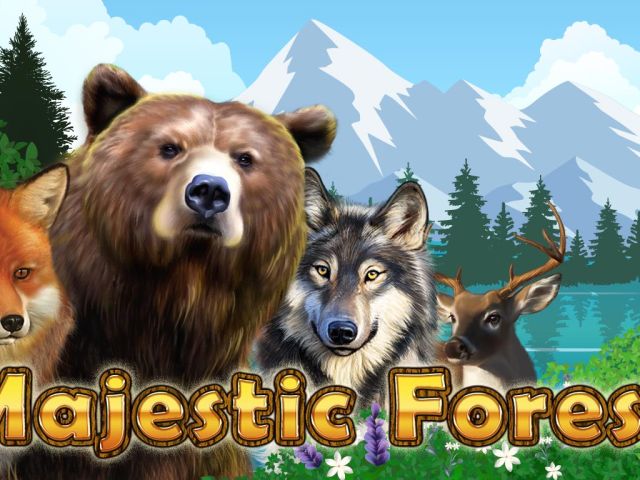 Majestic Forest