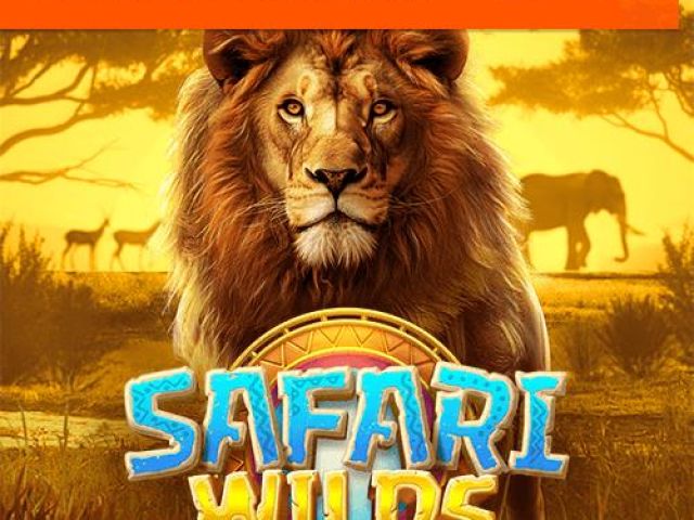 Safari Wilds