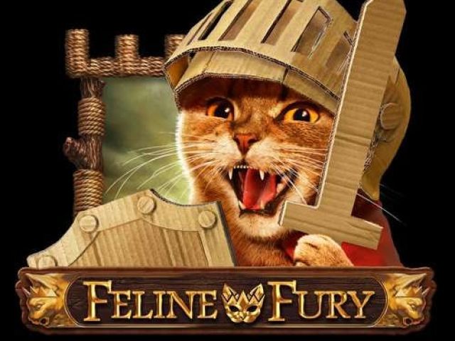 Feline Fury