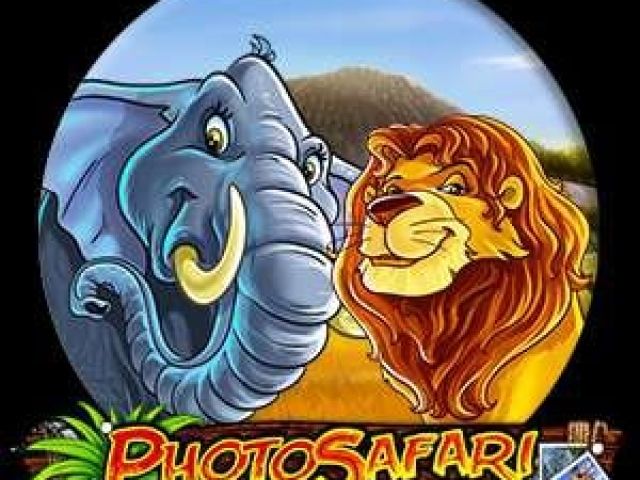 Photo Safari