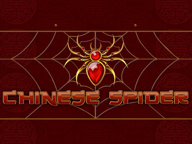 Chinese Spider