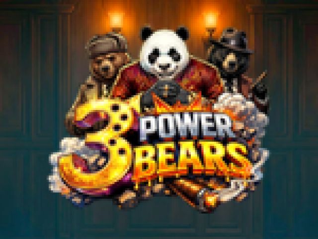 3 Power Bears