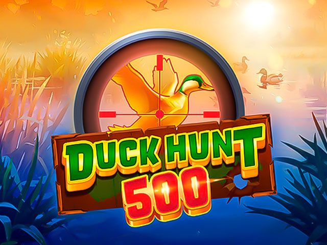 Duck Hunt 500