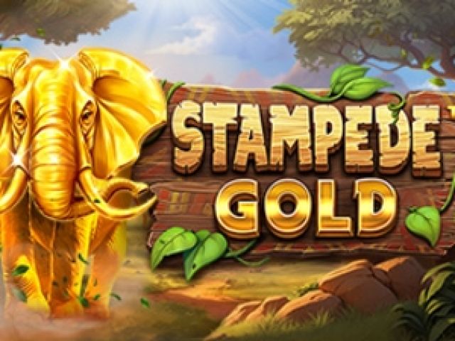 Stampede Gold™