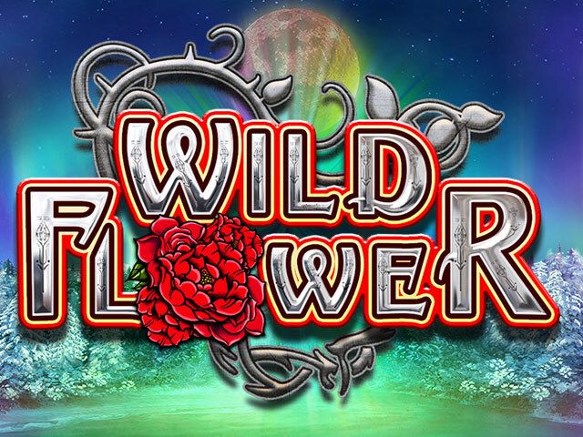 Wild Flower