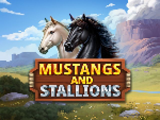 Mustang and Stallions