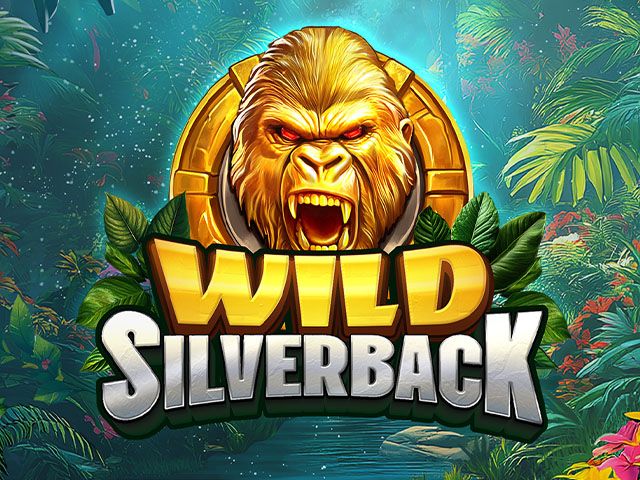 Wild Silverback