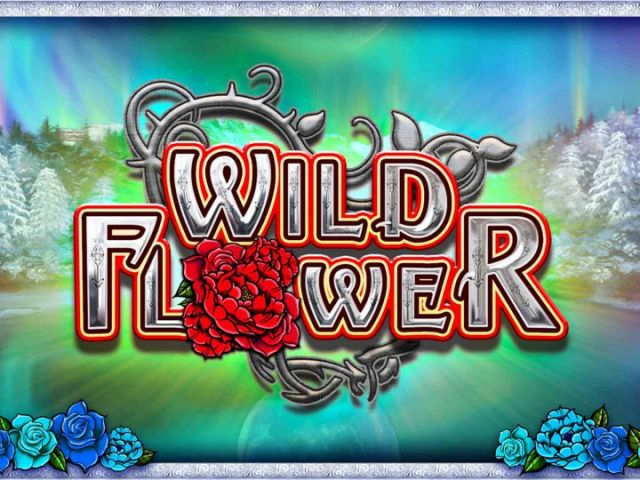 Wild Flower