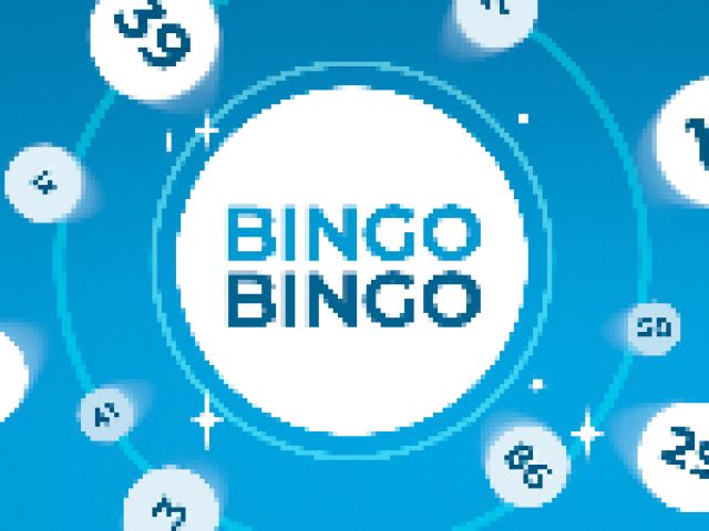 Bingo Bingo