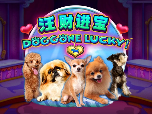 Doggone Lucky