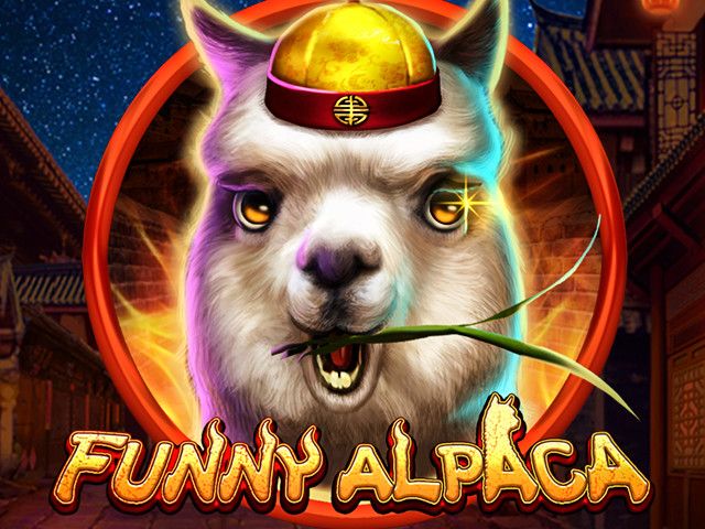 Funny Alpaca