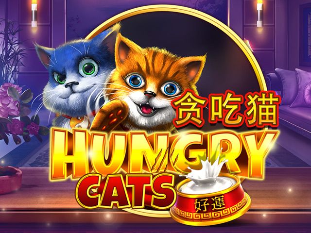 Hungry Cats