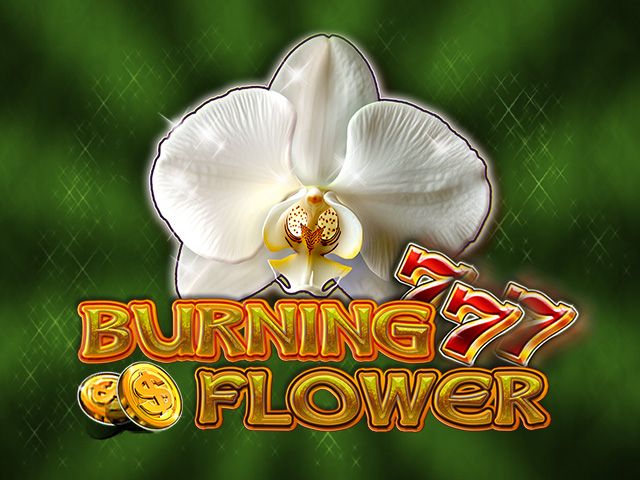 Burning Flower