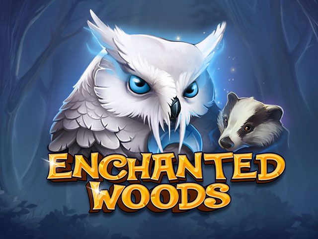 Enchanted Woods