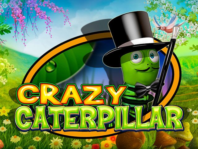 Crazy Caterpillar