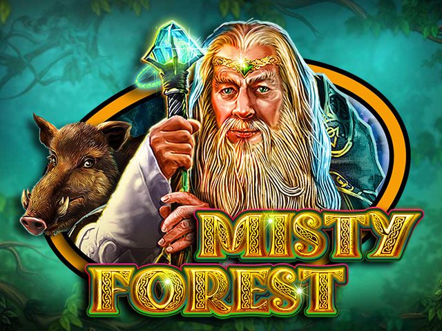 Misty Forest