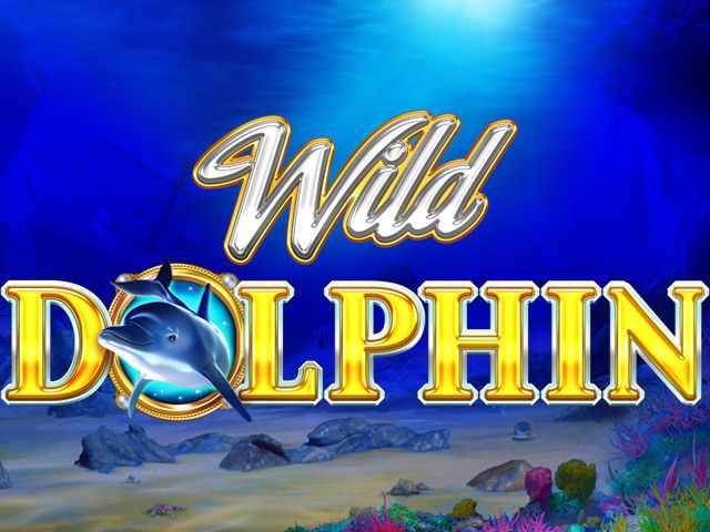 Wild Dolphin