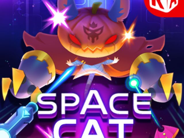 Space Cat