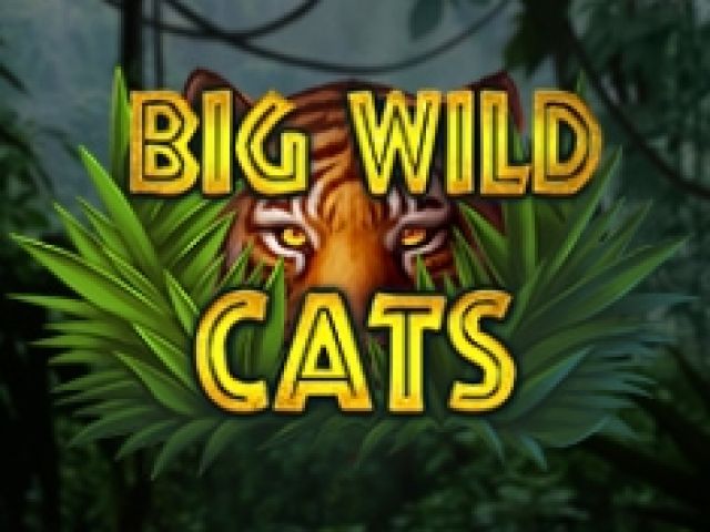 Big Wild Cats