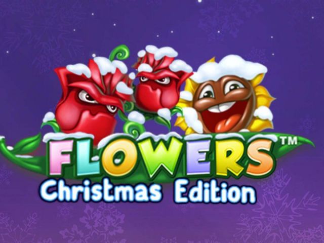 Flowers Christmas Edition