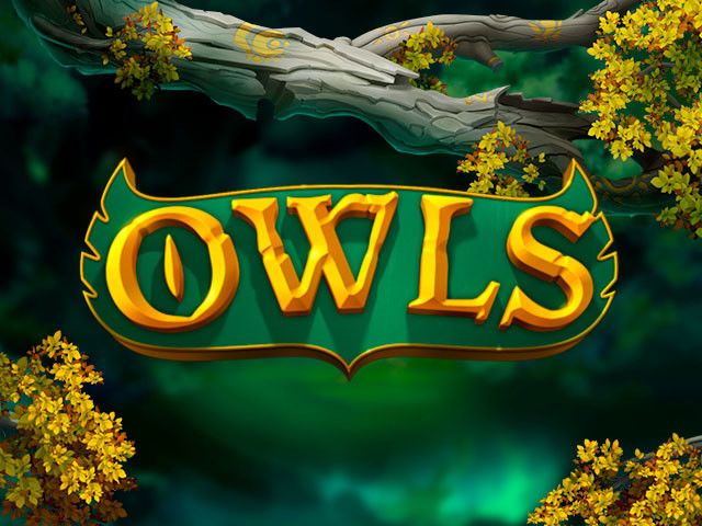 Owls