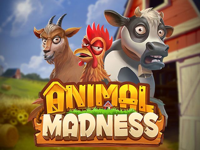 Animal Madness