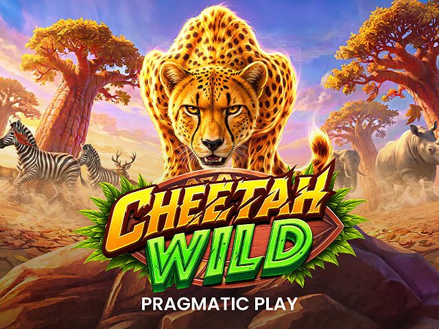 Cheetah Wild