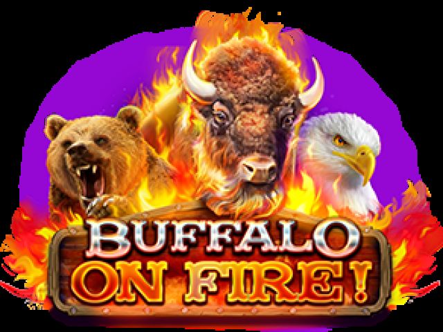 Buffalo on fire!