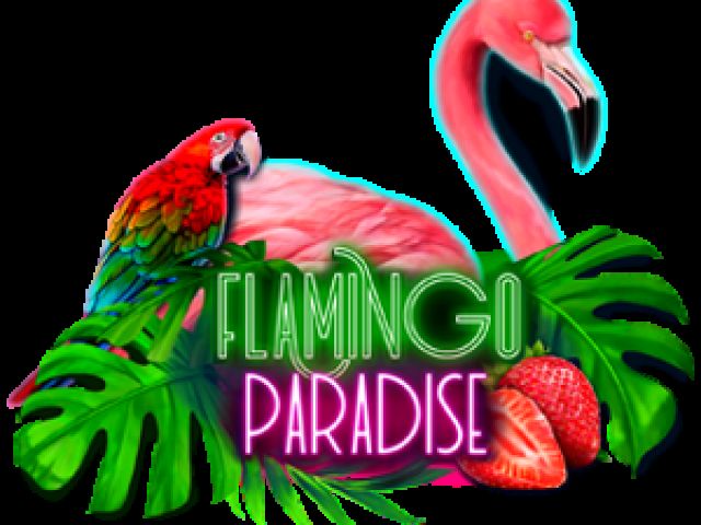 Flamingo Paradise