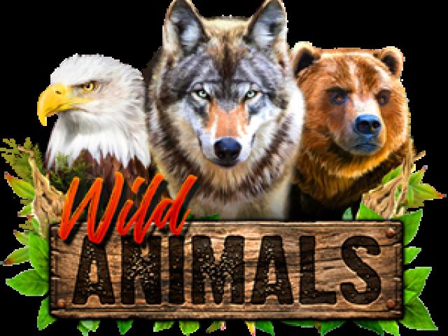 Wild Animals