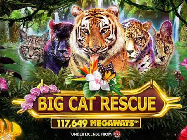 Big Cat Rescue Megaways