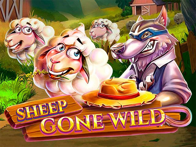 Sheep Gone Wild