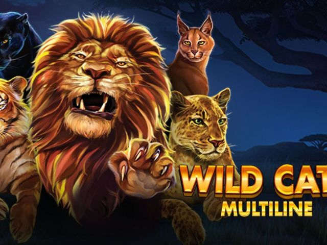 Wild Cats Multiline