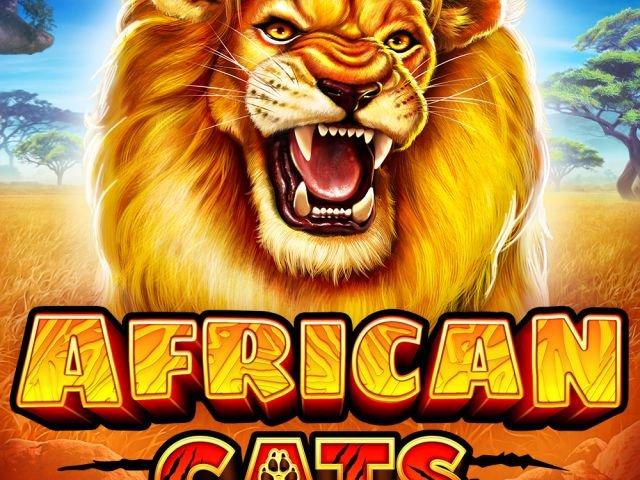 African Cats