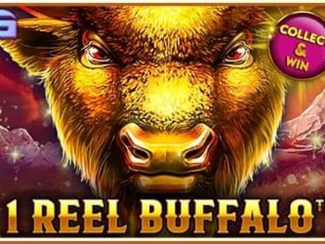 1 Reel Buffalo