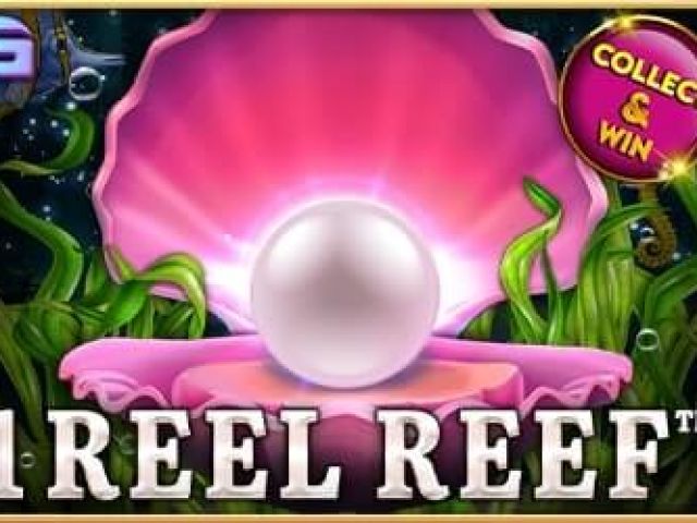 1 Reel Reef