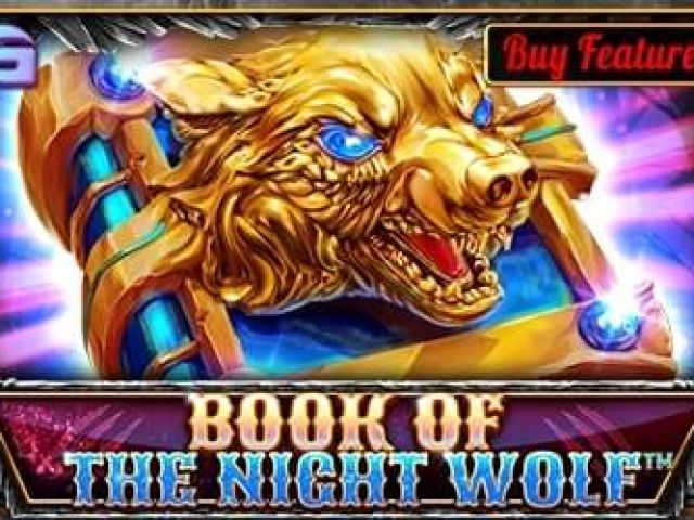 Book Of Night Wolf