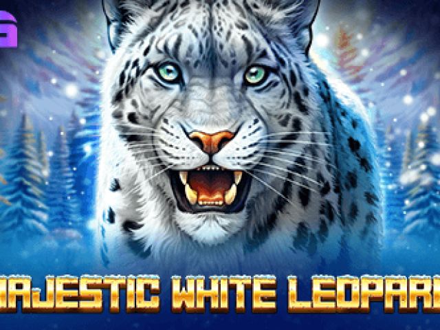 Majestic White Leopard