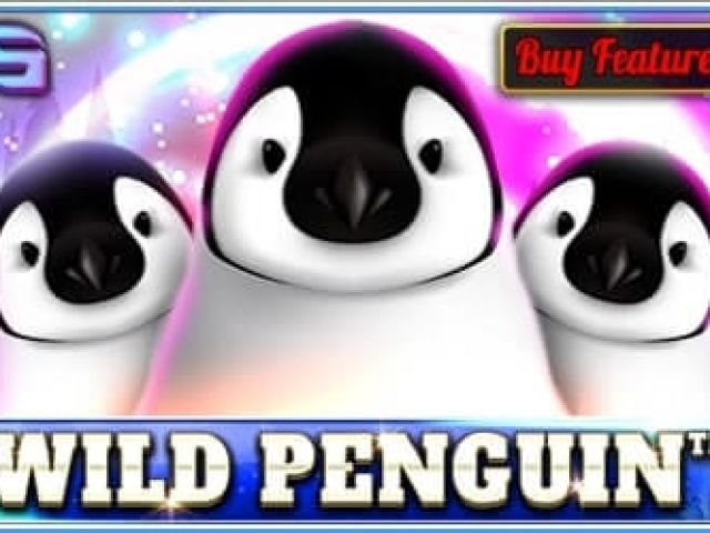 Wild Penguin