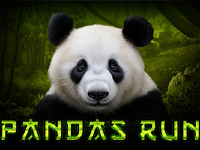 Panda's Run