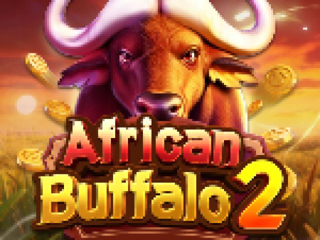 African Buffalo 2