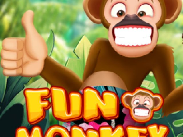 Fun Monkey