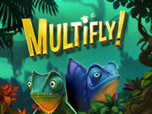 Multifly!