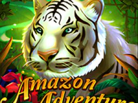 Amazon Adventure