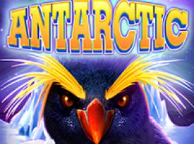 Antarctic